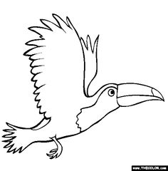 Flying Toucan Coloring Pages