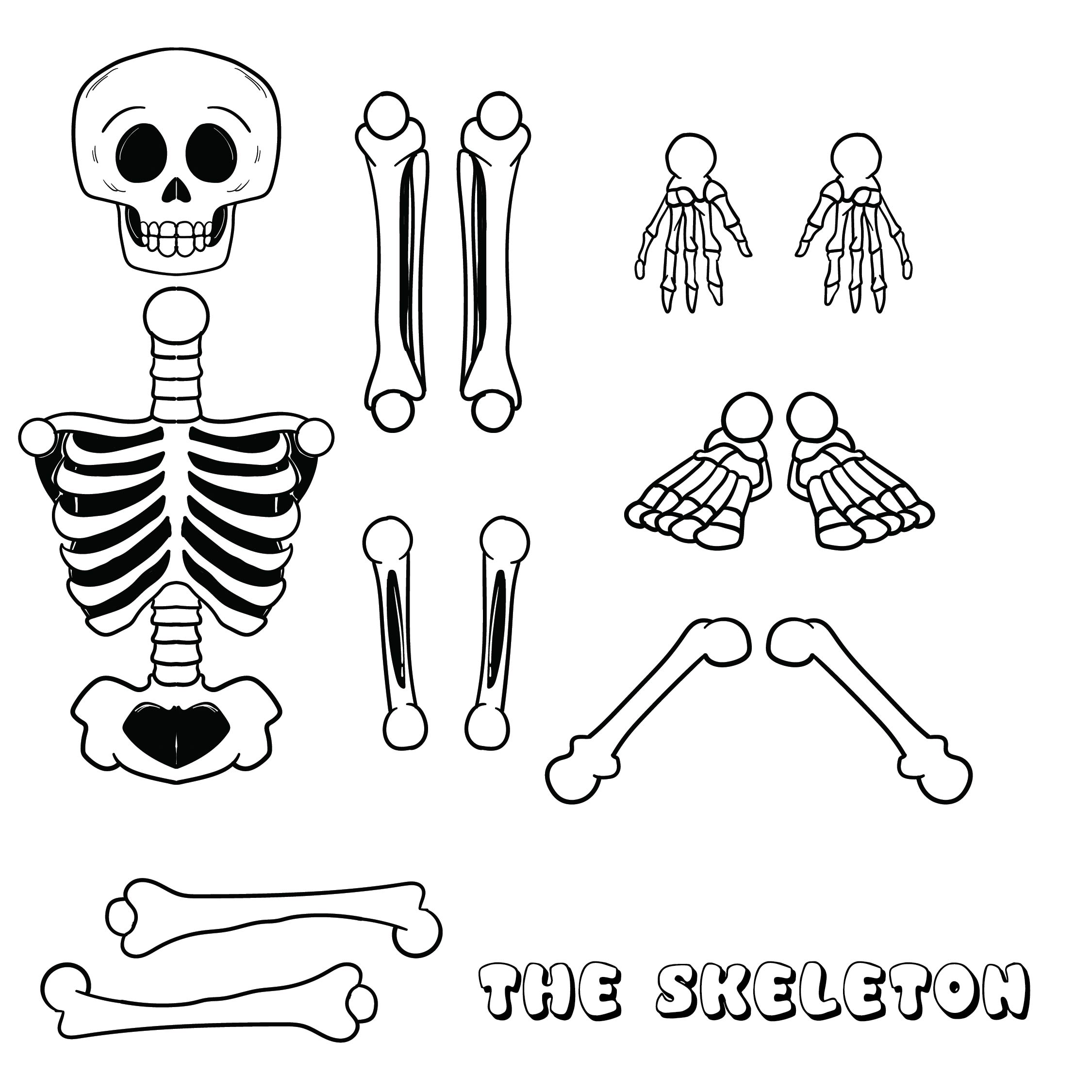 Download 10 Best Large Printable Skeleton Template - printablee.com