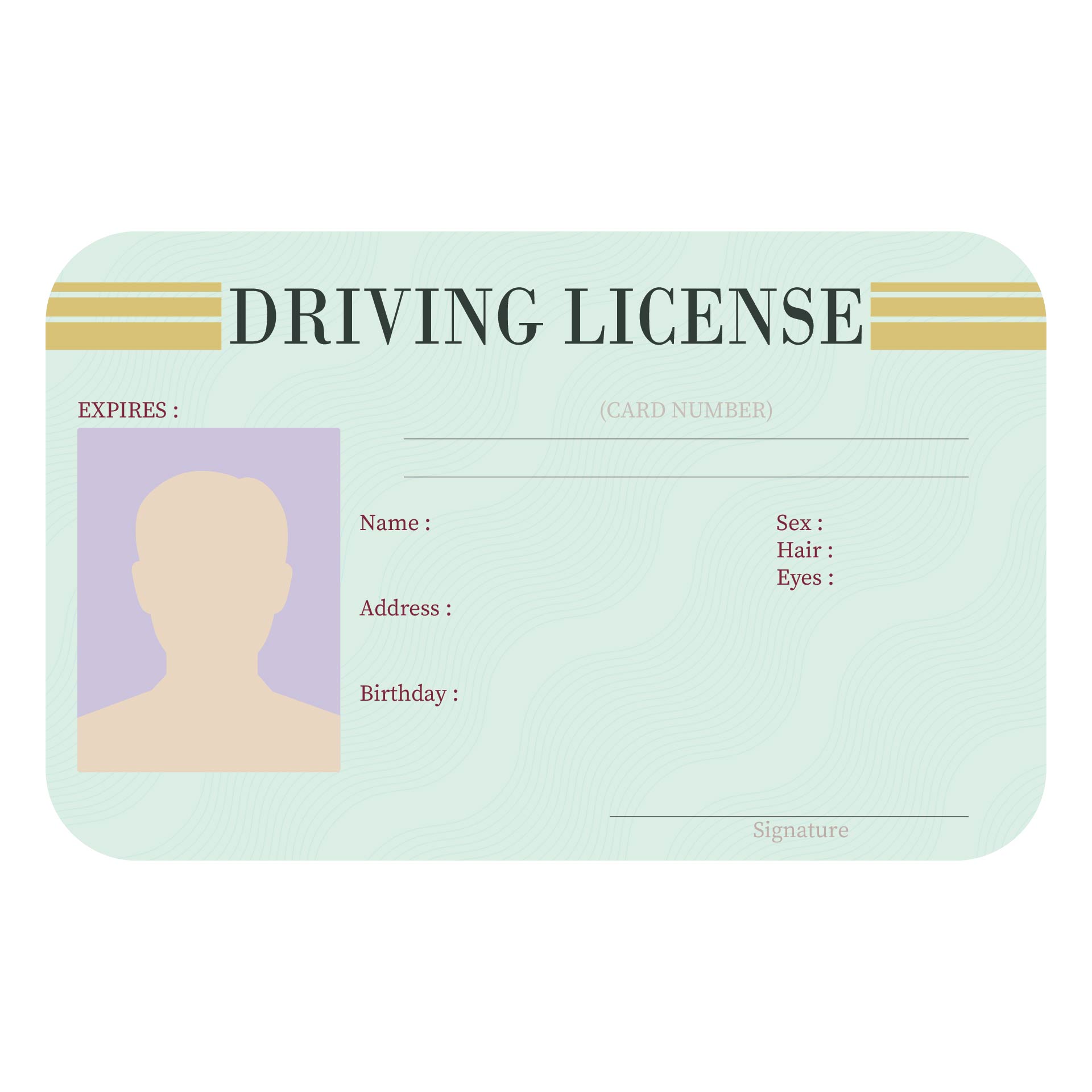 california drivers license blank template joke