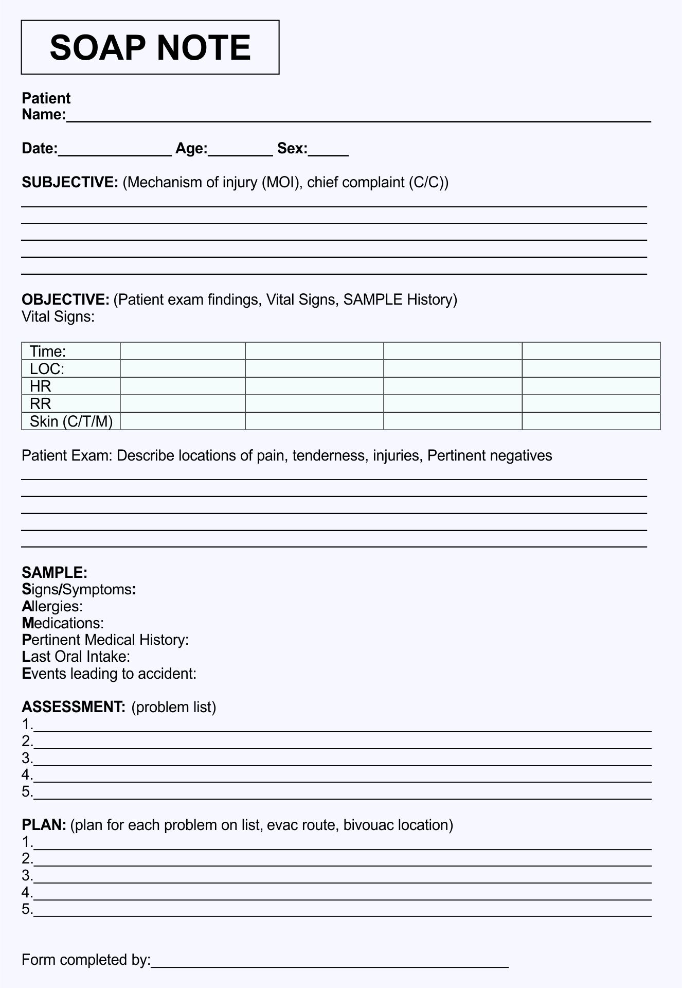 10 Best Printable Nurses Notes Template PDF for Free at Printablee