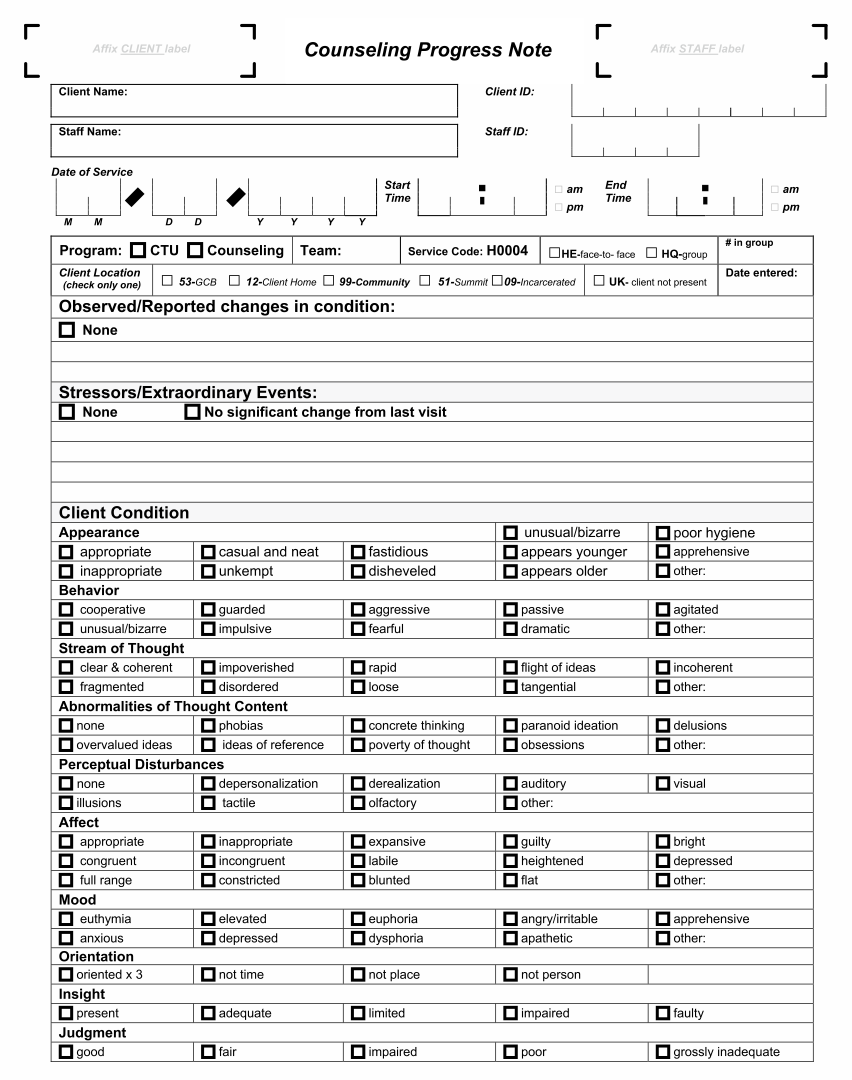 Counseling Progress Notes Template