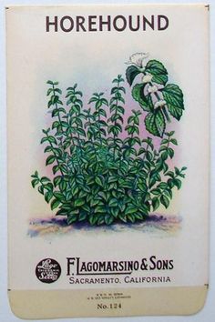 Vintage Herb Seed Packets