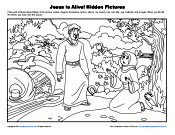 Bible Hidden Pictures Worksheets