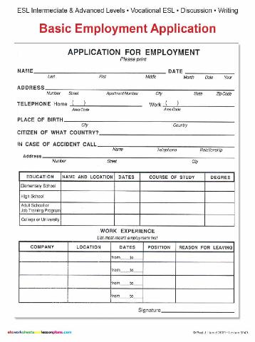 Basic Job Application Form