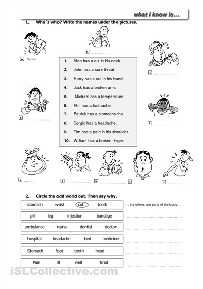 Printable First Aid Worksheets