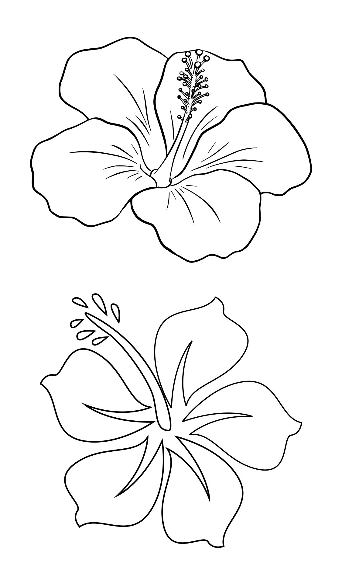 free-printable-hibiscus-flower-template
