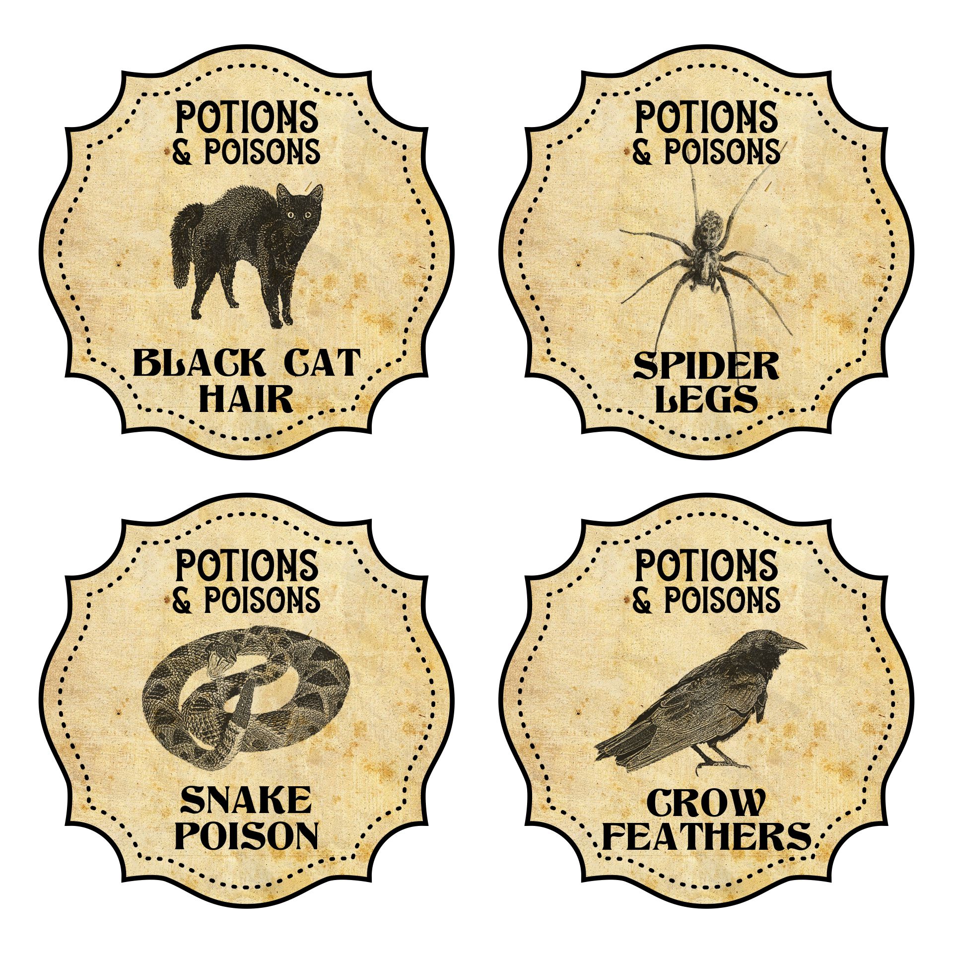 15-best-free-printable-halloween-potion-labels-printablee
