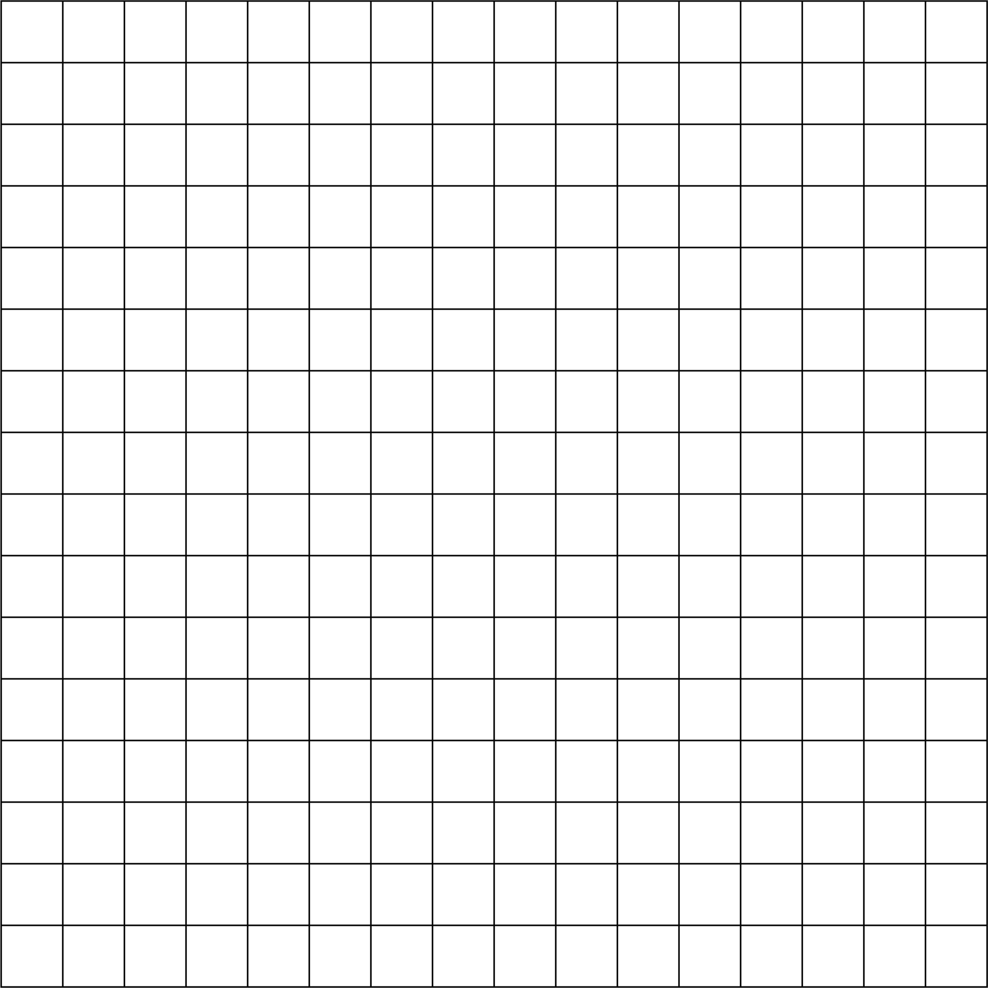 Grid Paper