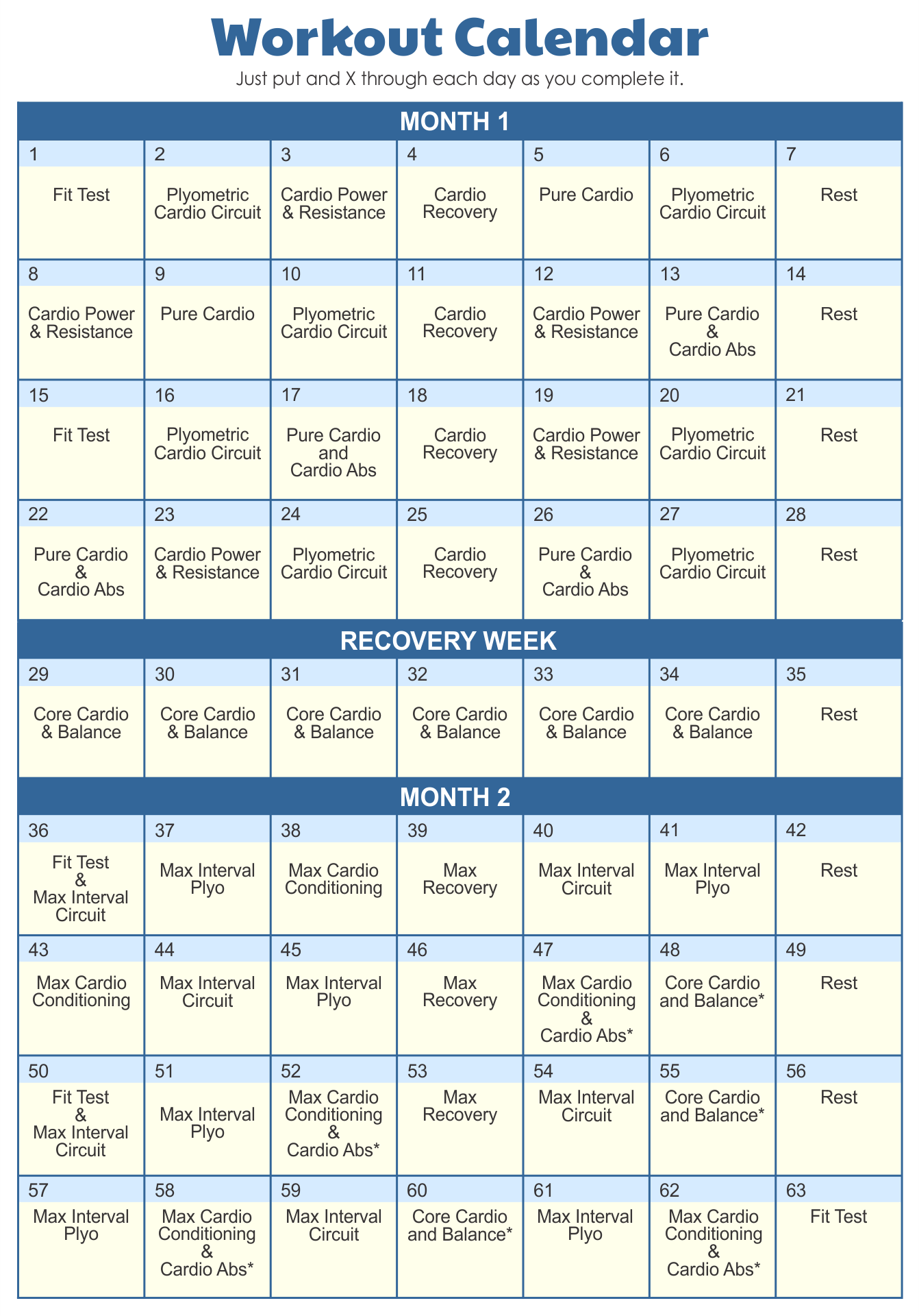 7 Best Printable Insanity Workout Schedule Organic Articles