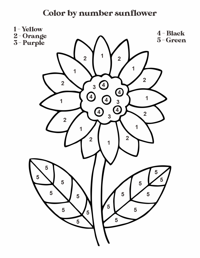 free-printable-sunflower-worksheets-life-cycle-of-a-sunflower