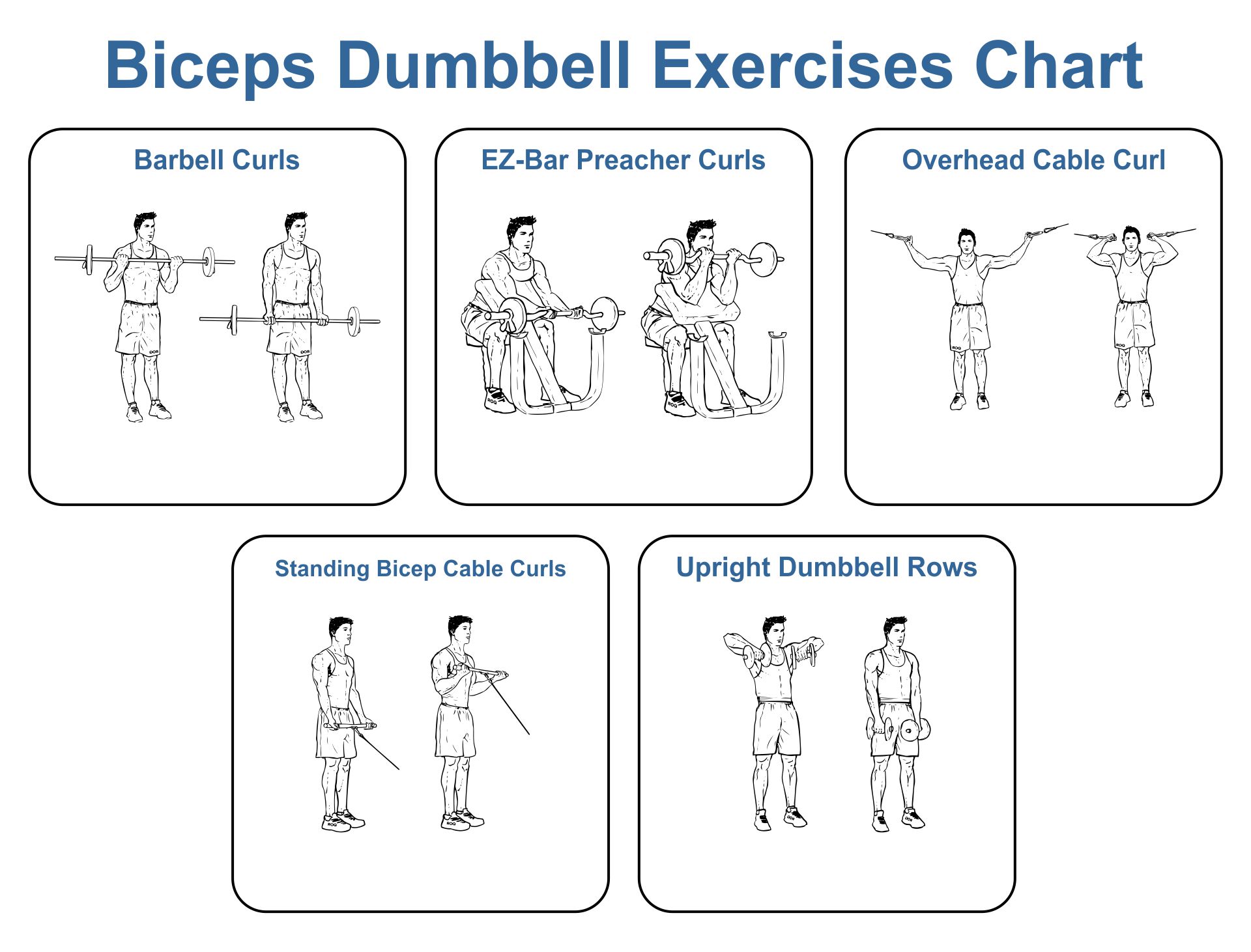 Printable Arm Workout With Weights Encycloall