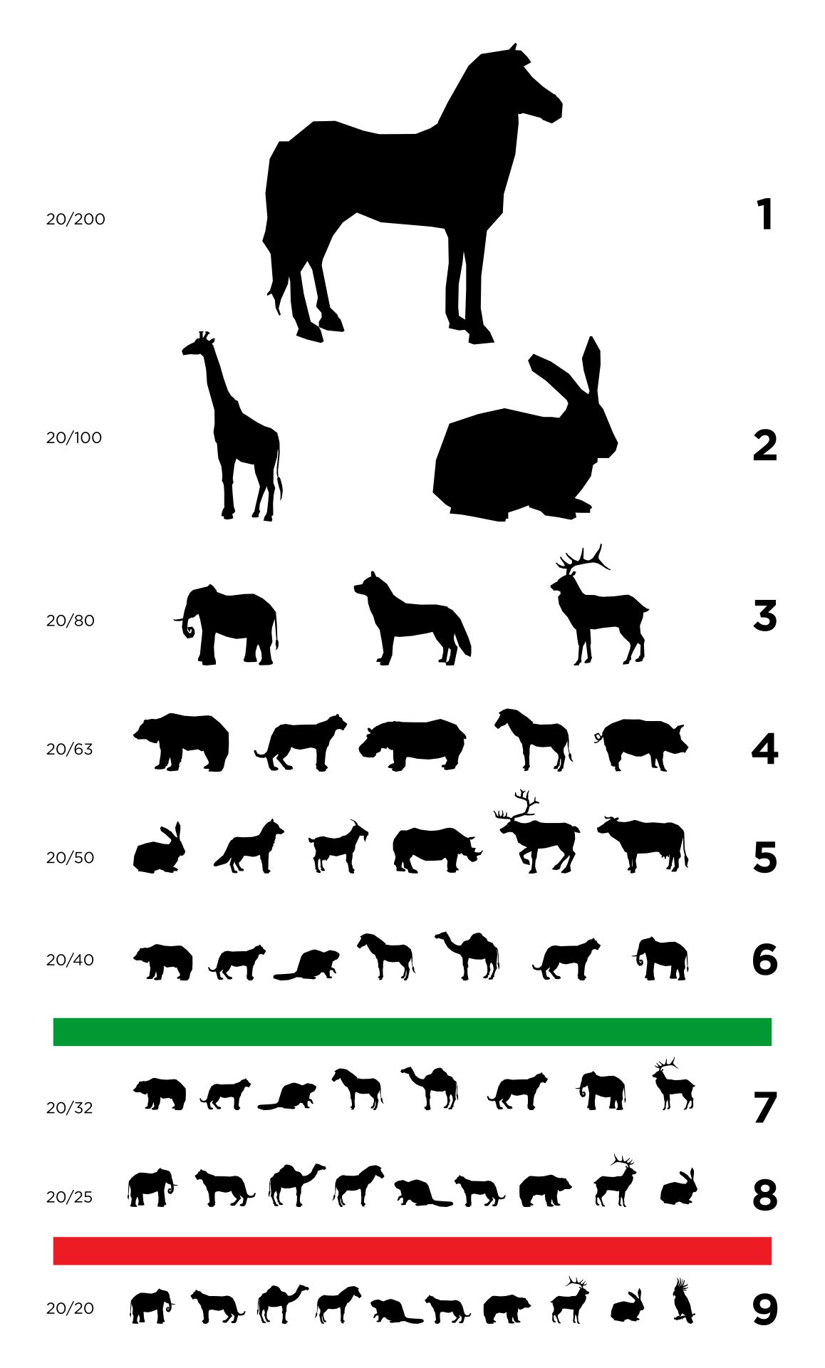 Preschool Eye Charts 10 Free PDF Printables Printablee