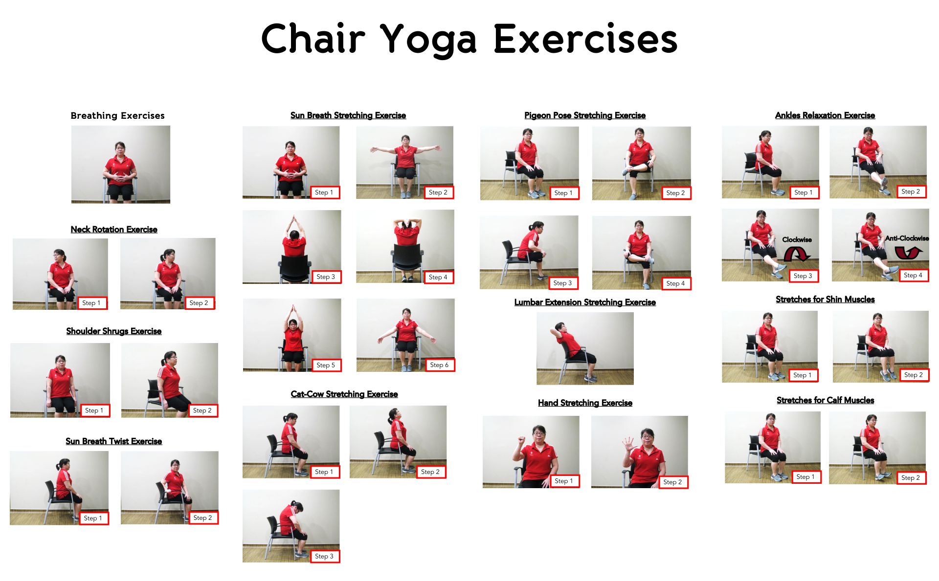 20 Best Printable Chair Yoga Exercises For Seniors PDF For Free At