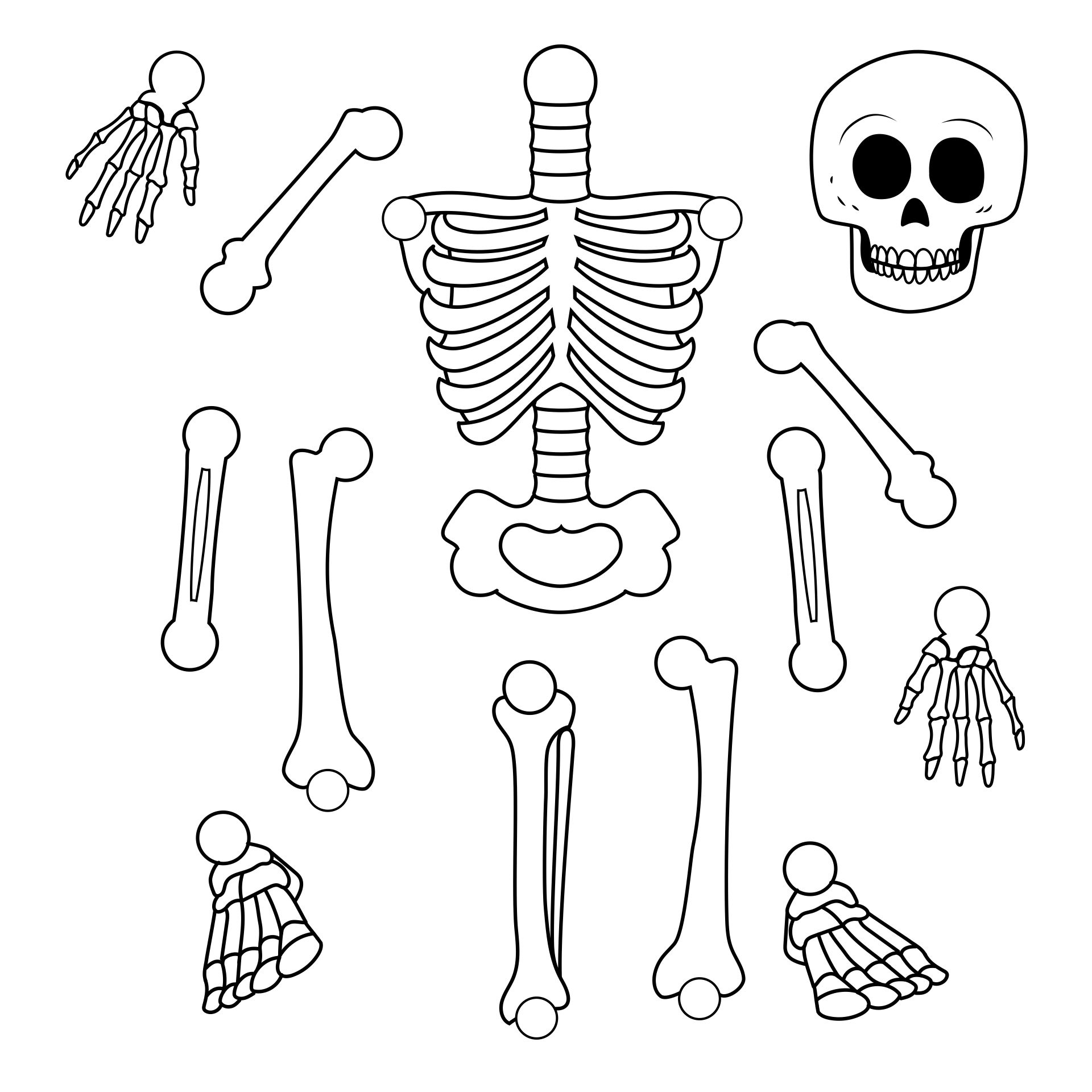 Skeleton Bones Printable Template For Costumes