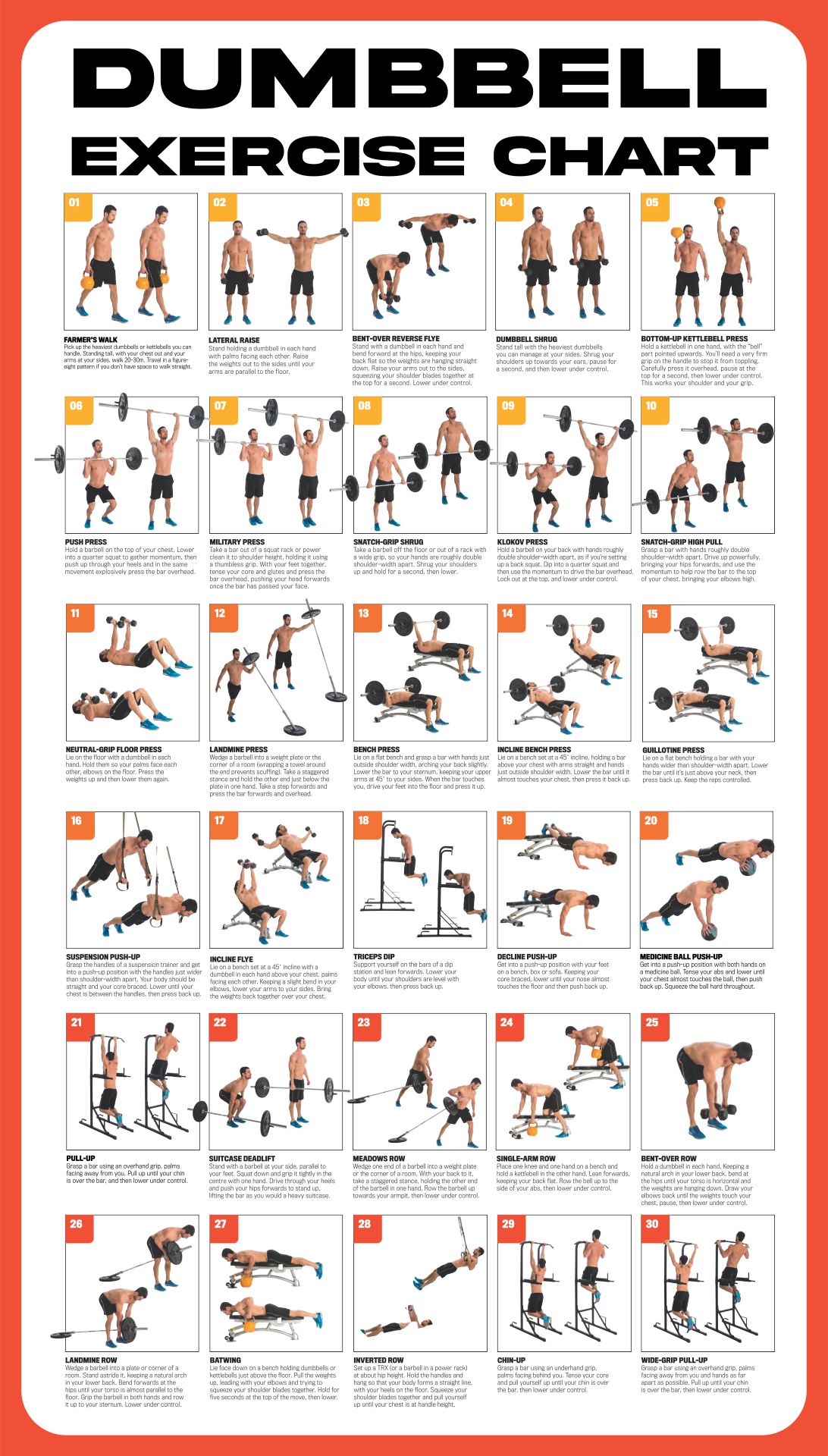 free dumbbel workout illustration download
