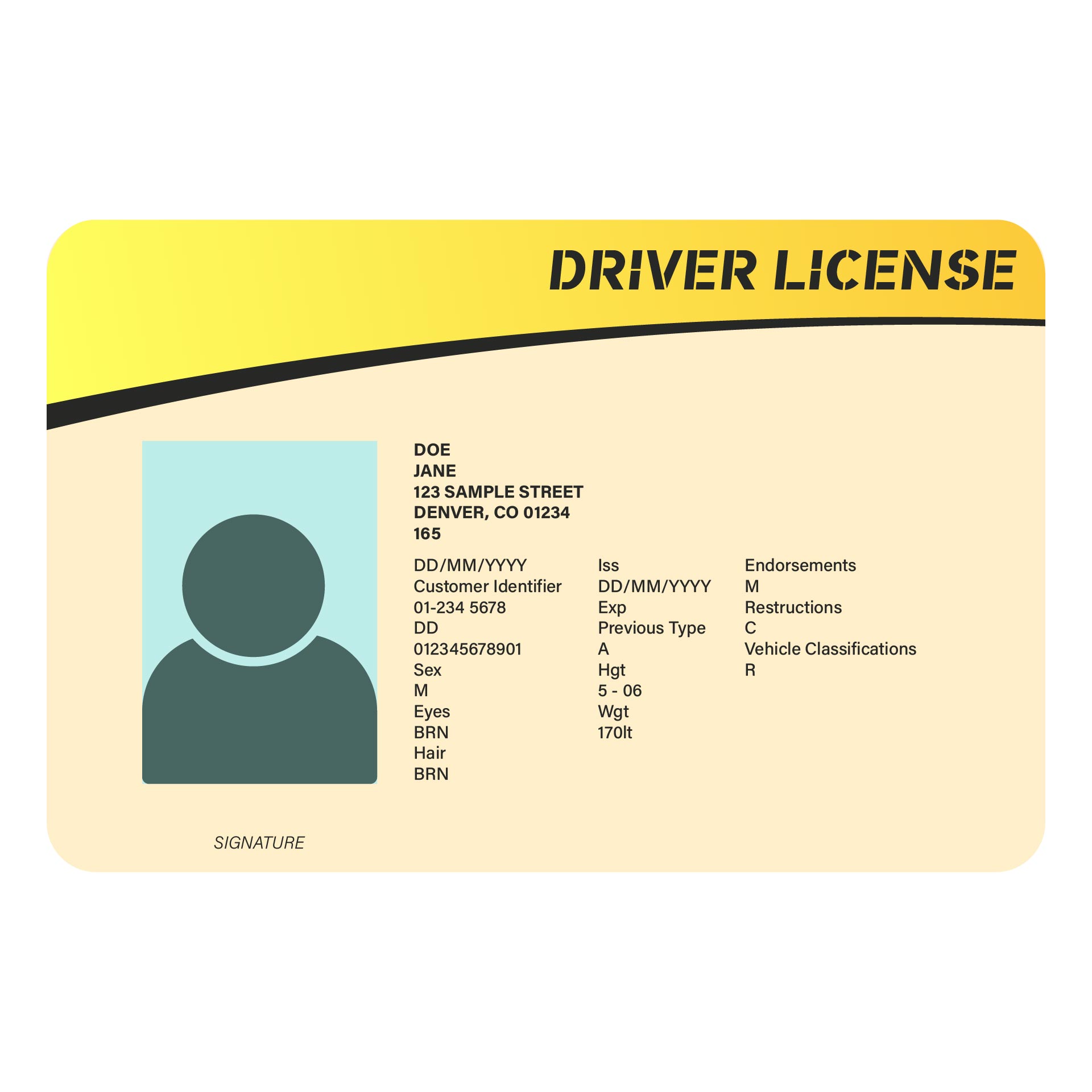 14 Best Drivers License Printable Template printablee com