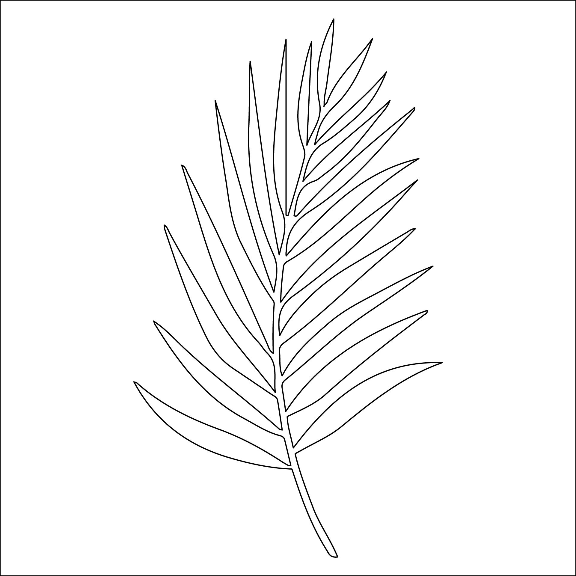 Paper Palm Leaf Template