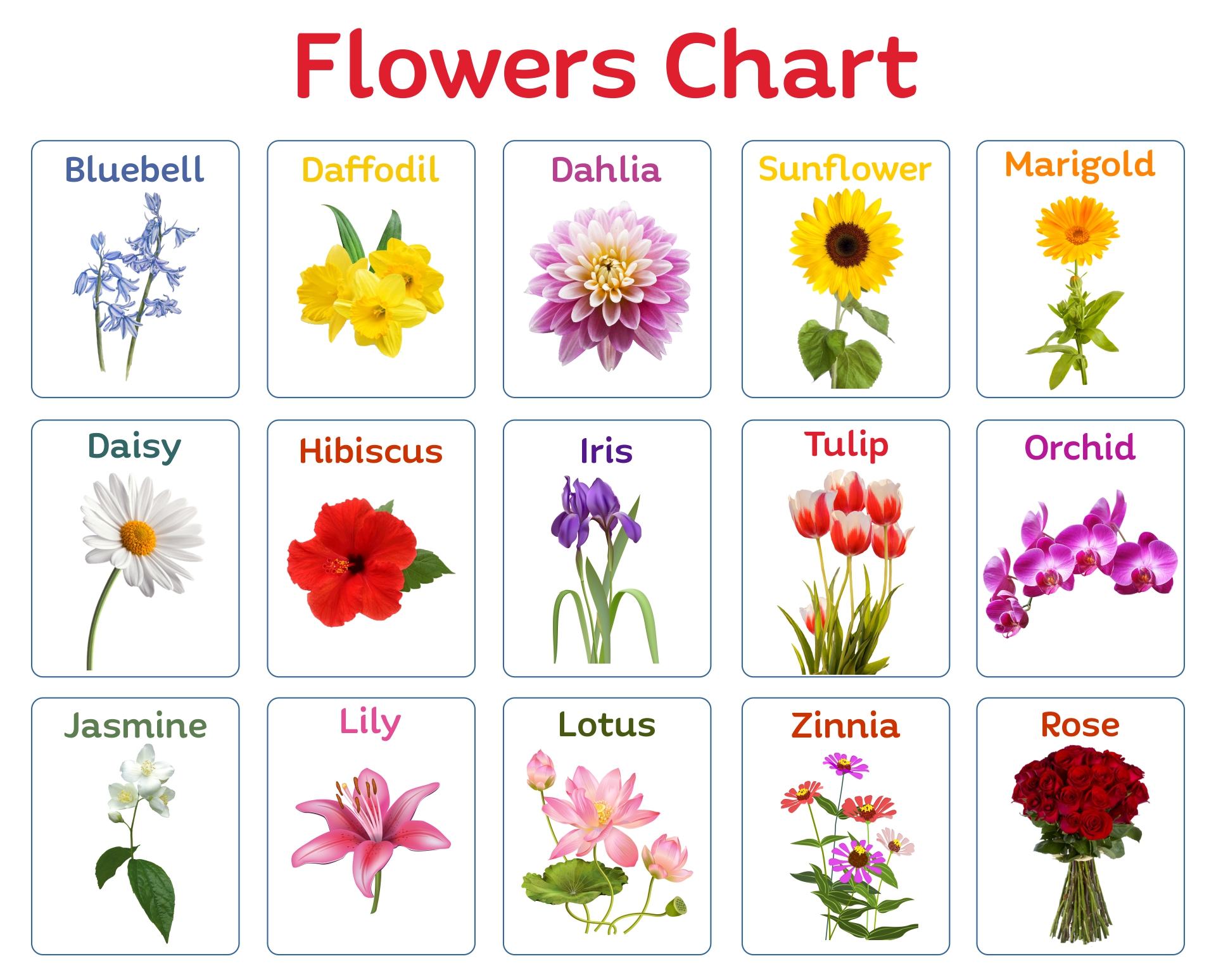 10 Best Paper Printable Poppy Flower Pattern PDF for Free at Printablee