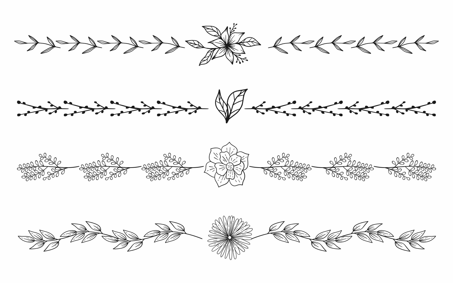 Elegant Floral Line Border Clip Art