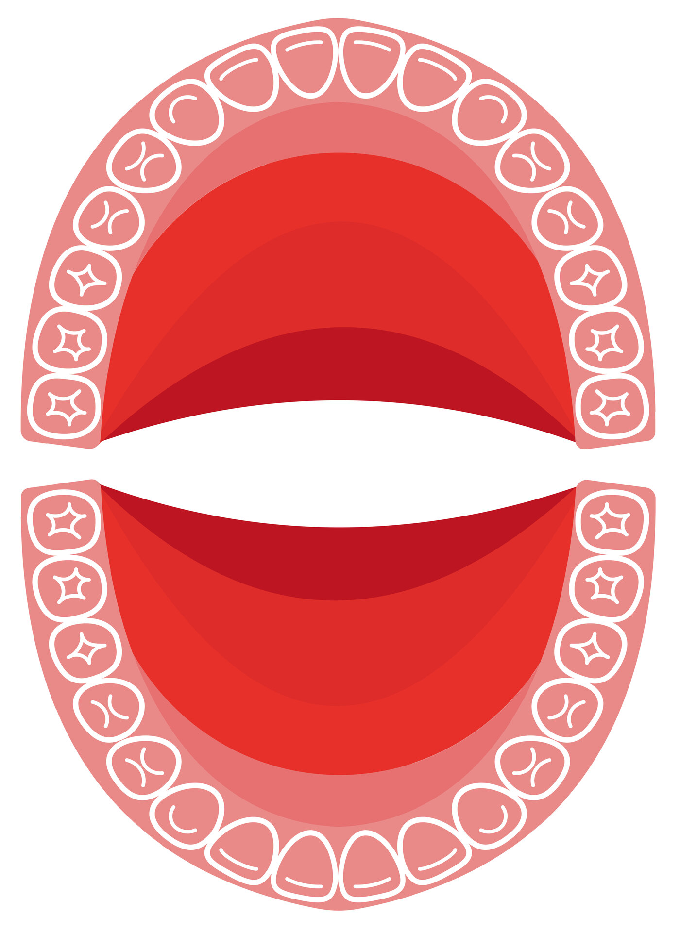 Full Mouth Tooth Layout Chart Printout