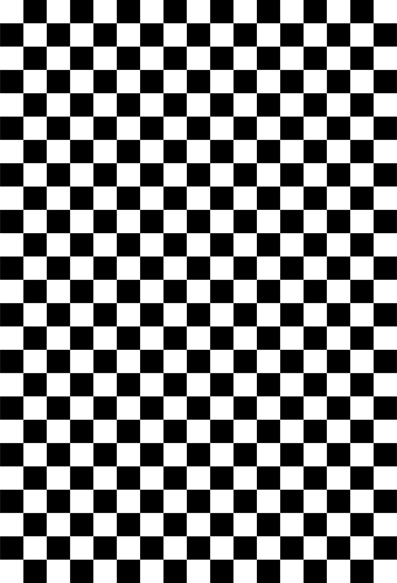 Black and White Checkerboard Print