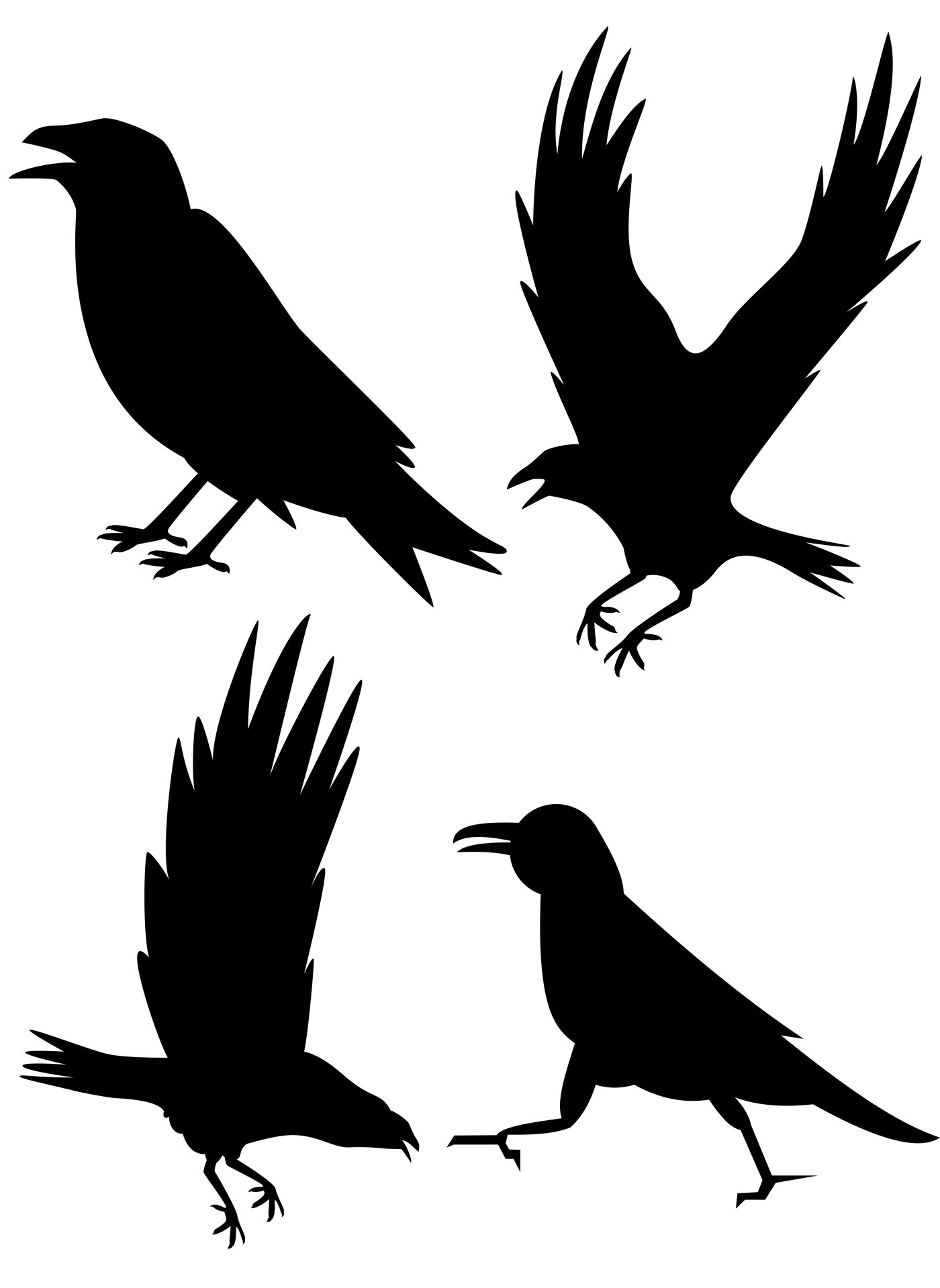 Crow Stencil Patterns for Halloween Decor