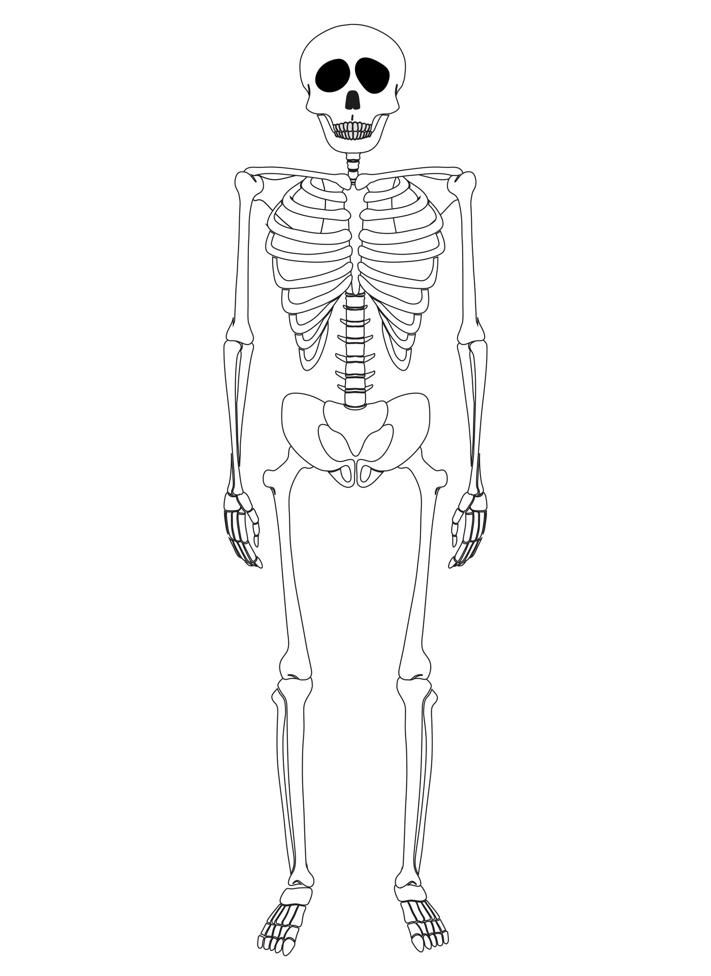 Full-Size Skeleton Cutout Printable