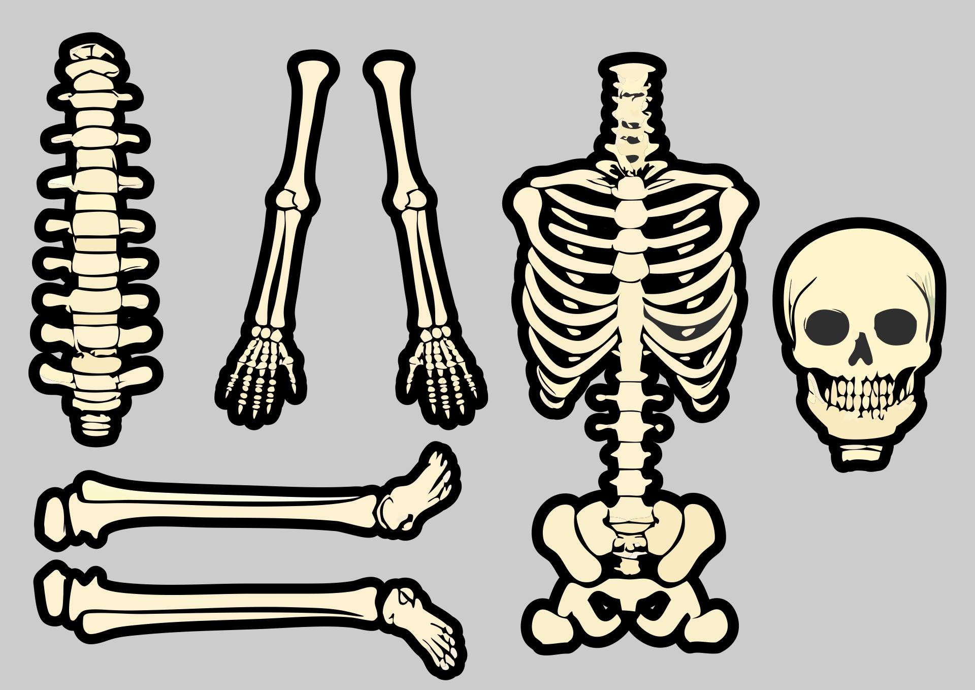 Life-size Skeleton Cut Out Printable