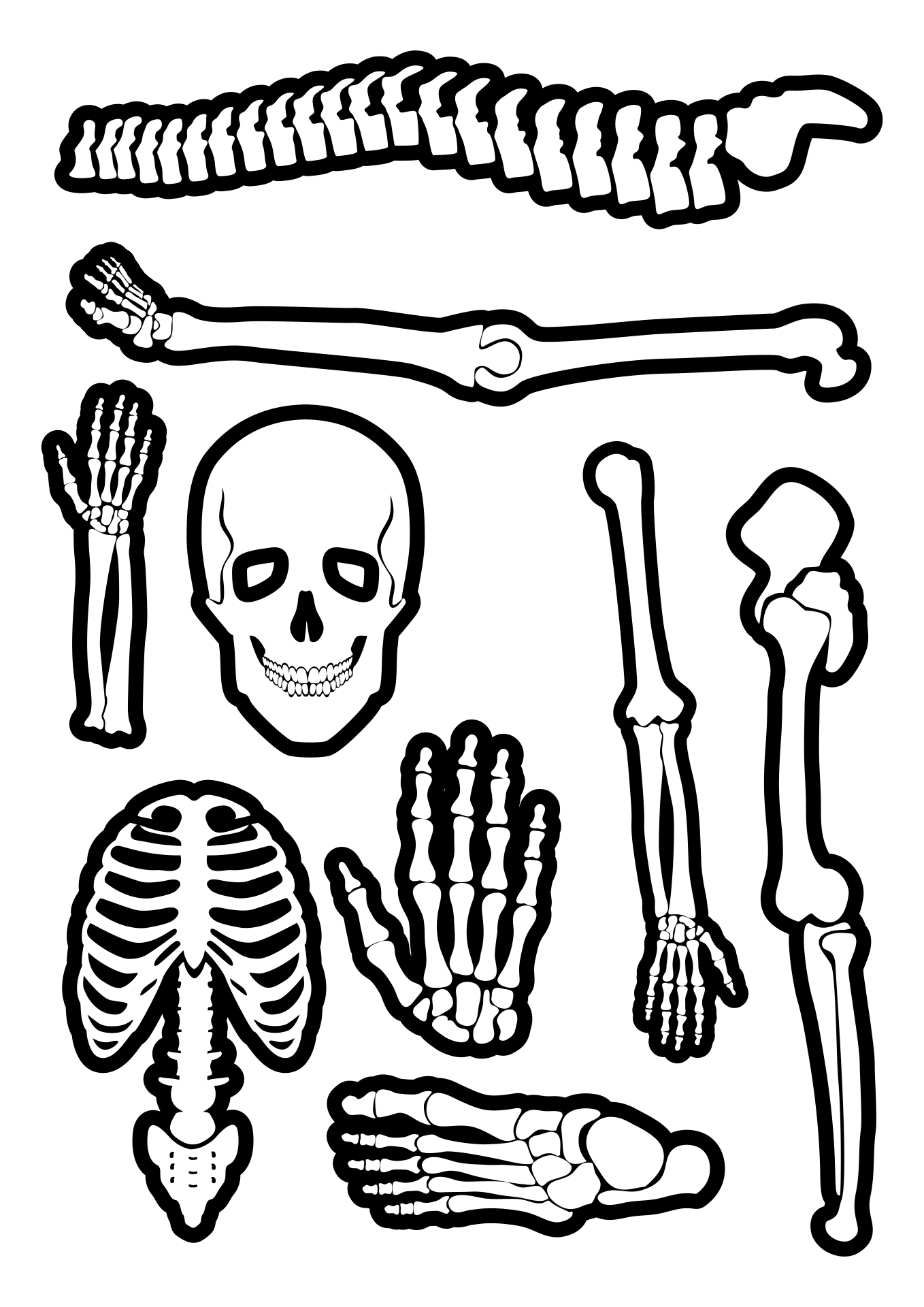 Printable Skeleton Bones Template