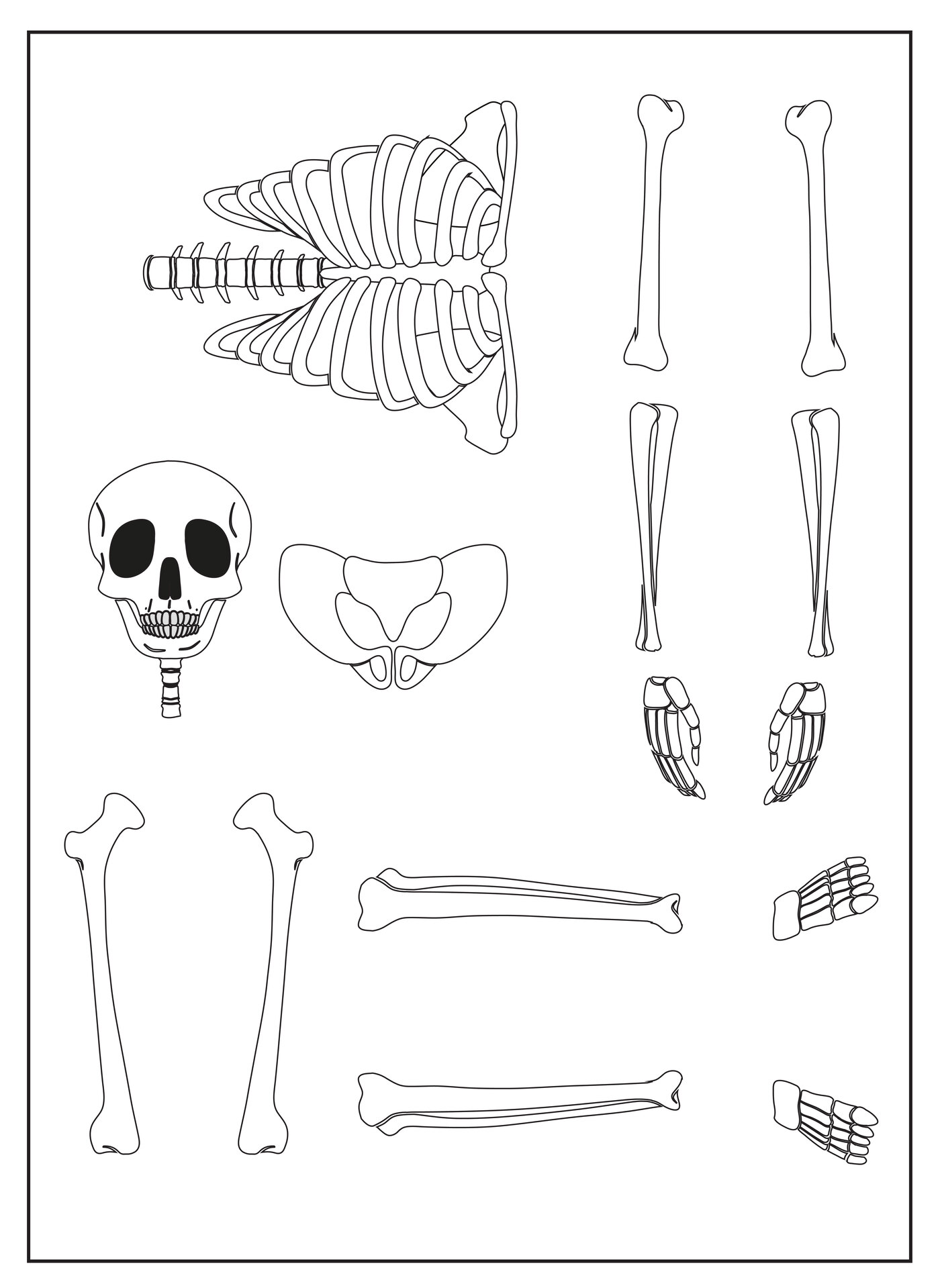 Skeleton Bone Template Printout