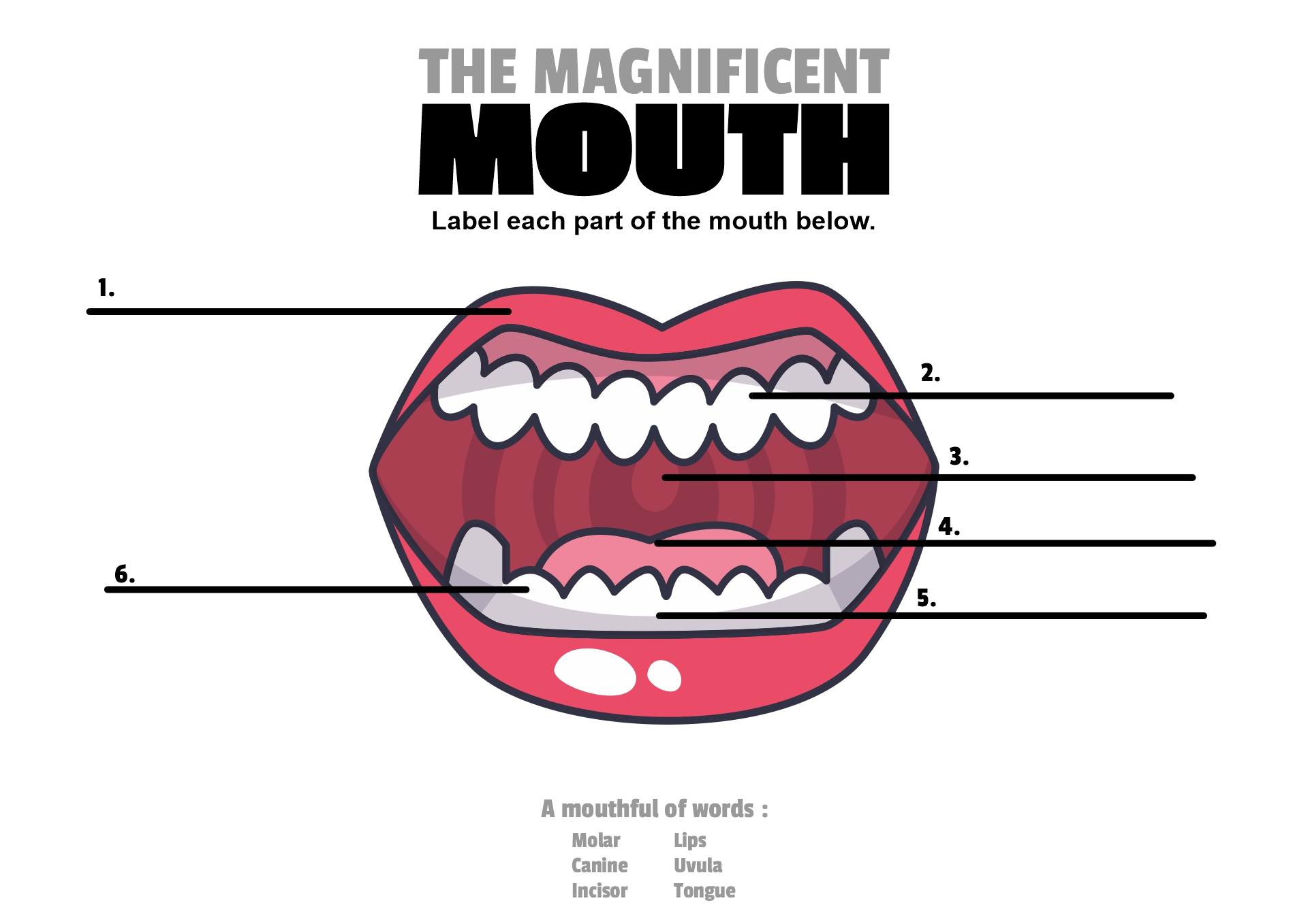 Mouth Parts Labeling Printable Worksheet