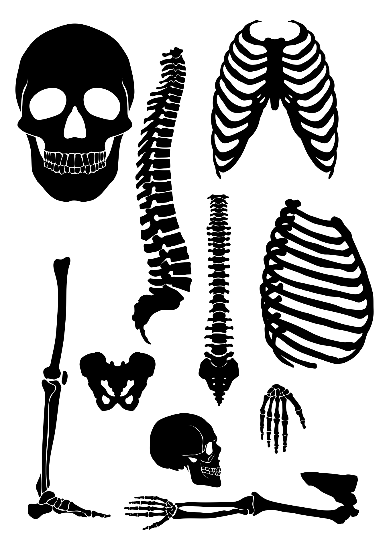 Skeleton Cut Out for Halloween