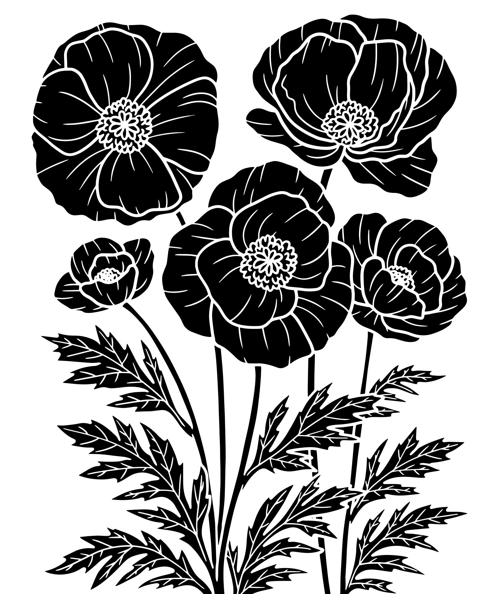 Poppy Stencil Projects for Home Decor