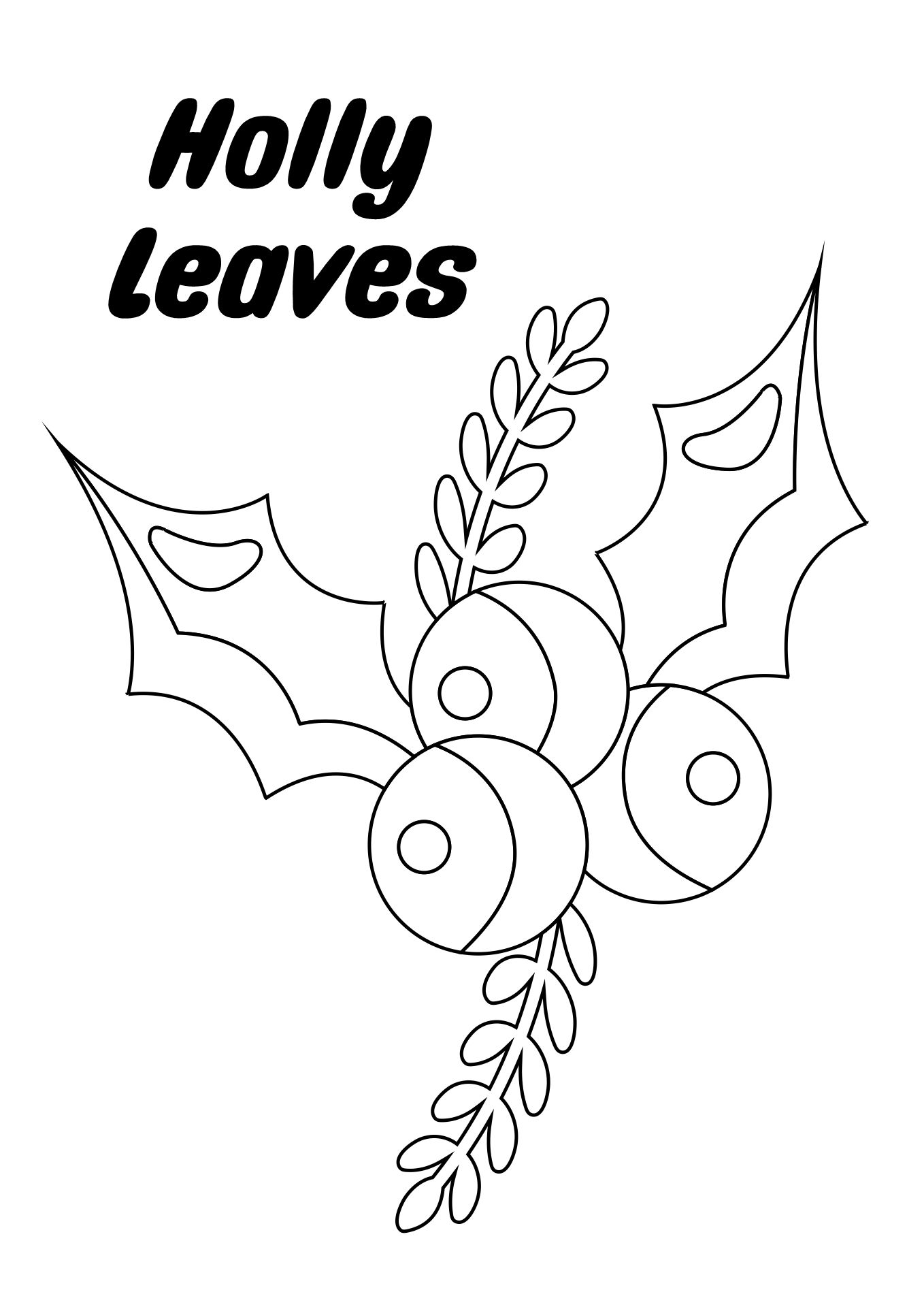 Holly Leaves Coloring Pages