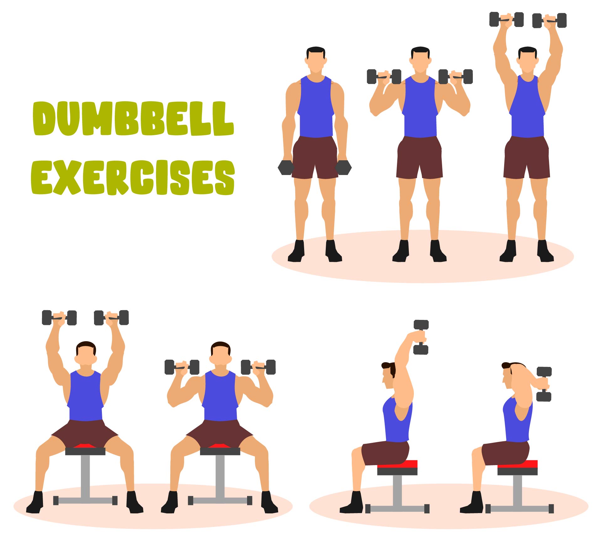 Printable Dumbbell Exercises for Mens Home Fitness