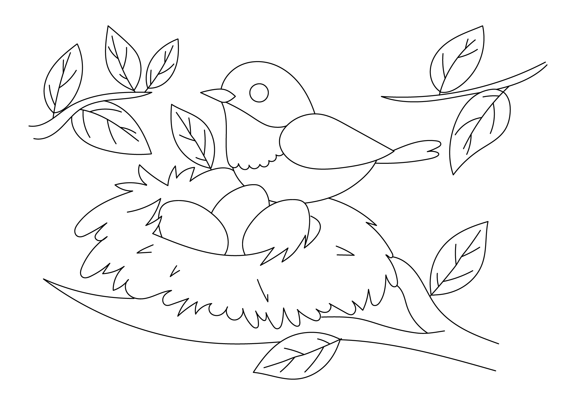 Spring Bird Coloring Pages